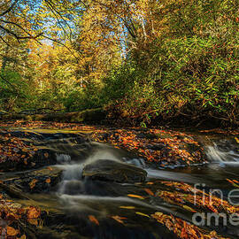 Autumn at Pinky Falls 2 by Ron Long Ltd Photography