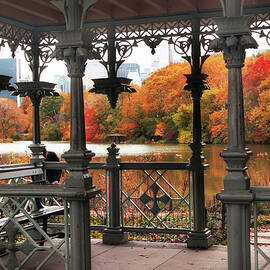 Autumn at The Ladies Pavilion by Jessica Jenney