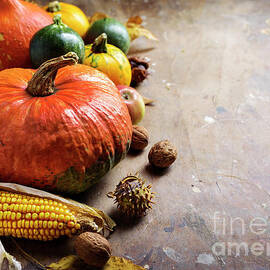 Autumn Background by Jelena Jovanovic