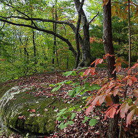 Autumn Begins on the Cumberland Plateau by Cascade Colors