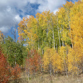 Autumn Color Palette by Cascade Colors