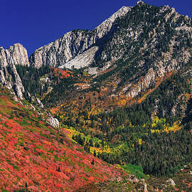 Autumn Colors Below Lone Peak, Utah by Abbie Matthews