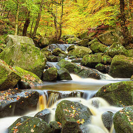 Autumn colours, Burbage Brook, Padley Gorge, Peak District National Park, Derbyshire, England by Neale And Judith Clark