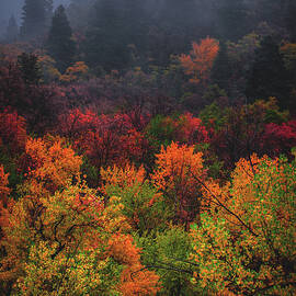 Autumn Fog, Mount Olympus by Abbie Matthews