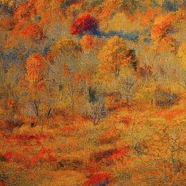 Autumn Memories Tapestry by Allen Nice-Webb