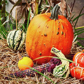 Autumn Harvest Display with Pumpkins by Tatiana Travelways