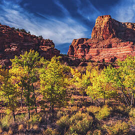 Autumn in Buckhorn Draw, Utah by Abbie Matthews