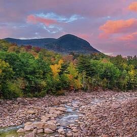 Autumn is Coming by Maryanne Keeling