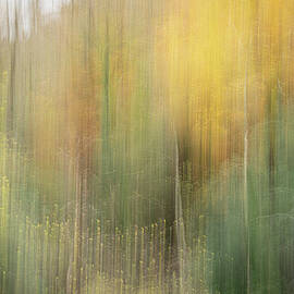 Autumn Kaleidoscope 1 by Charnwood Photography Fine Art