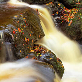 Autumn Leaves and Waterfall detail at Padley Gorge, Peak District National Park, Derbyshire, England by Neale And Judith Clark