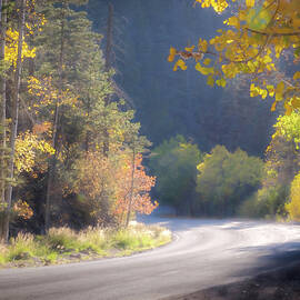 Autumn Light New Mexico by Mary Lee Dereske