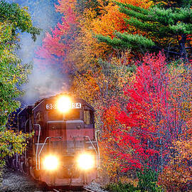 Autumn Locomotive by Olivier Le Queinec