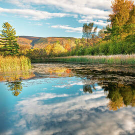 Autumn Mirror by Dave King