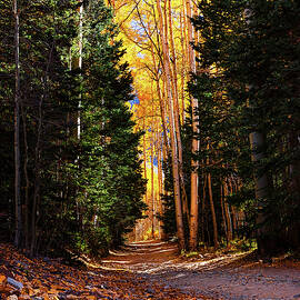 Autumn on Ophir Pass by Kevin Schwalbe