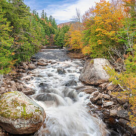 Autumn on the Ausable River by Dave King