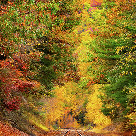 Autumn on Track by Richard DeYoung