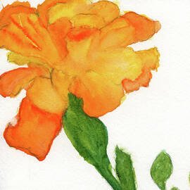 Autumn Orange Marigold by Elizabeth Reich