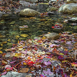 Autumn Pool by Ron Long Ltd Photography