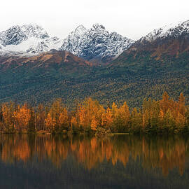 Autumn Reflections Lake Palmer Alaska by Dan Sproul