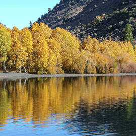 Autumn Reflections on a Tranquil Lake by Barbara Siegel
