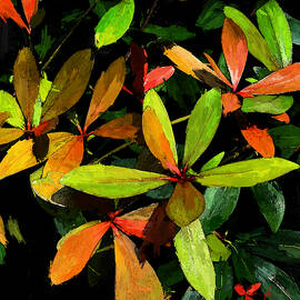 Autumn Splendor by Gina Harrison