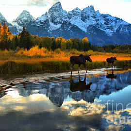 Autumn Stroll Along The Snake River by Adam Jewell