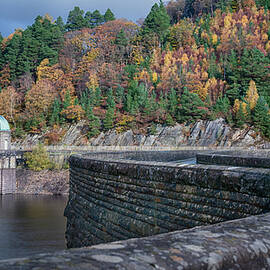 Autumn Radiance at The Foel Tower by Joanne Eastope