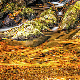 Autumn Swirls by Jeff Sinon