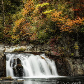 Autumns Quiet Flow by Dodie Ross