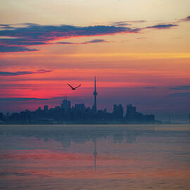 Awaken Toronto by DEE POTTER
