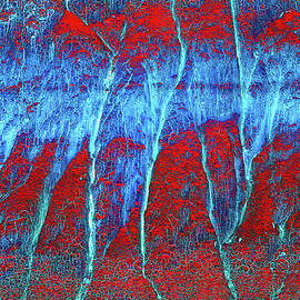 Badlands Abstract Blue and Red Composition by Bruce Block
