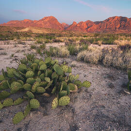 Baked by Slow Fuse Photography
