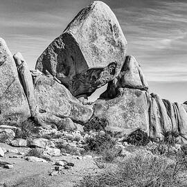 Balance in Black and White by Alison Frank
