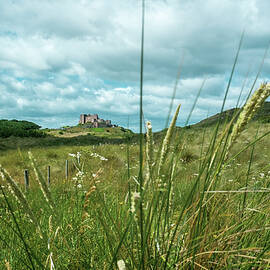 Bamburgh Castle glimpsed in the distance by Seeables Visual Arts