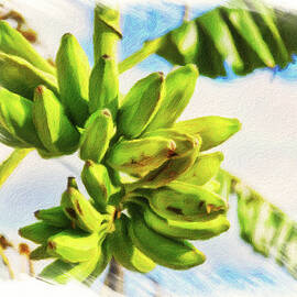 Bananas hanging from a banana tree by Tatiana Travelways
