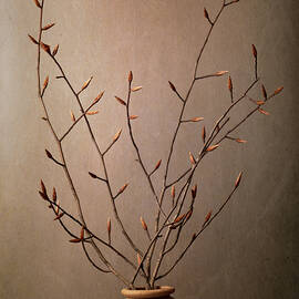 Bare Elegance by Dodie Ross