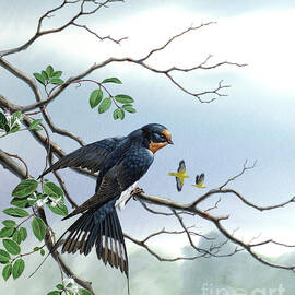 Barn Swallow by Don Balke