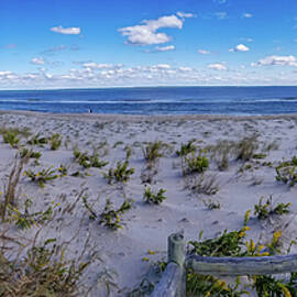 Barnegat Beach  by Louis Dallara