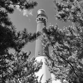 Barnegat Glimpse by Steven Nelson