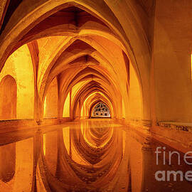 Baths of Maria De Padilla, Alcazar, Seville by Neale And Judith Clark