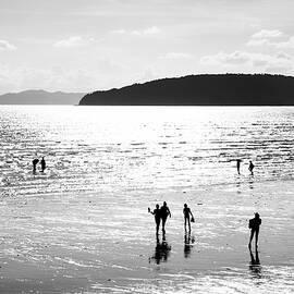 Bay Dwellers by Mia Badenhorst