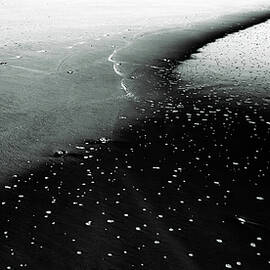 Beach Abstract Black and White by Louis Dallara