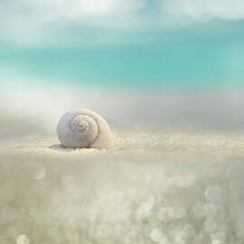 beach house by Laura Fasulo