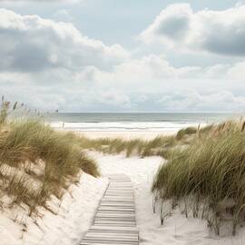 Beach Path by Land of Dreams
