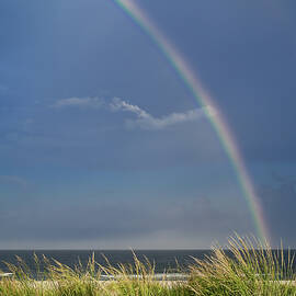 Beach Rainbow by Steven Nelson