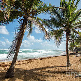 Beach Waves and Palm Trees, Pinones, Puerto Rico by Beachtown Views