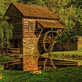 Beautiful Cuttalossa farm No 1 by Louis Dallara