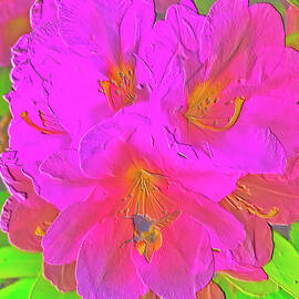 Bee on a rhododendron flower by Bruce Block
