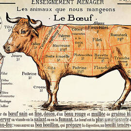 Beef by French School