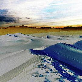 Been Through The Desert by Joe Schofield